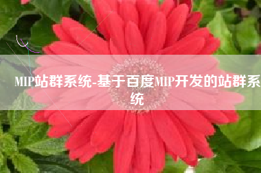 MIP站群系统-基于百度MIP开发的站群系统