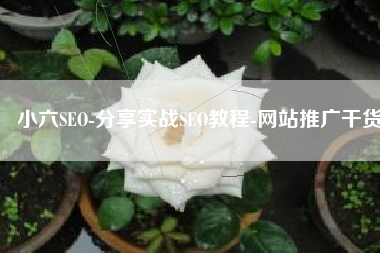 小六SEO-分享实战SEO教程-网站推广干货