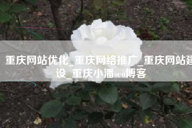 重庆网站优化_重庆网络推广_重庆网站建设_重庆小潘seo博客
