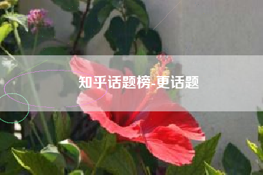 知乎话题榜-更话题