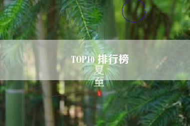 TOP10 排行榜