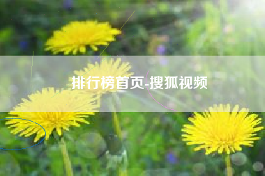 排行榜首页-搜狐视频