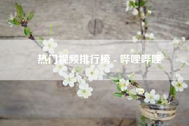 热门视频排行榜 - 哔哩哔哩 