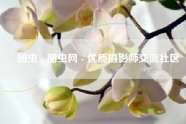 图虫 - 图虫网 - 优质摄影师交流社区