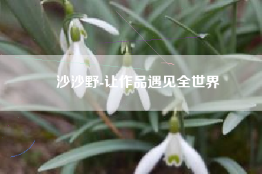 沙沙野-让作品遇见全世界