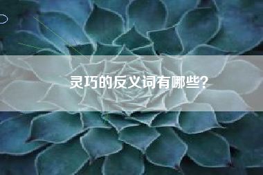 灵巧的反义词有哪些？