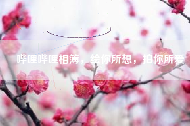 哔哩哔哩相簿，绘你所想，拍你所爱
