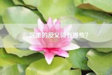 沉重的反义词有哪些？