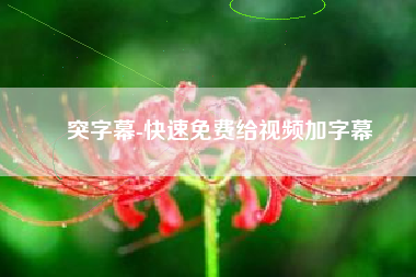 突字幕-快速免费给视频加字幕