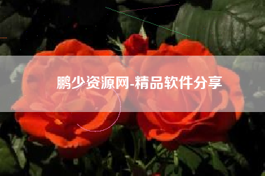 鹏少资源网-精品软件分享