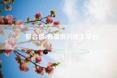 聚合猫-有温度的化工平台