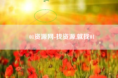 01资源网-找资源,就找01