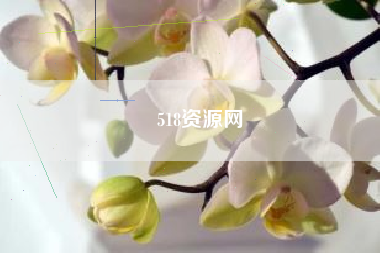 518资源网