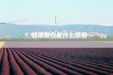 情投意合是什么意思