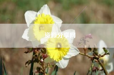 资源分享网