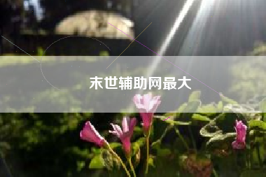末世辅助网最大