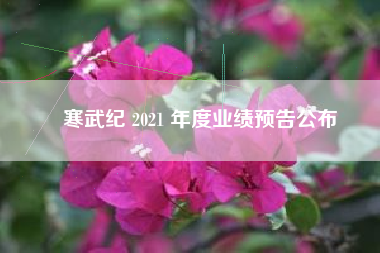 寒武纪 2021 年度业绩预告公布