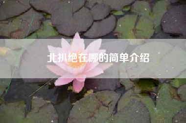 北扒绝在哪的简单介绍