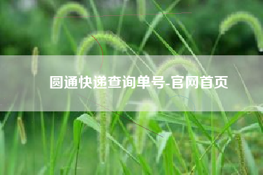 圆通快递查询单号-官网首页