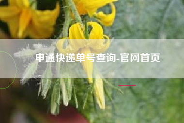 申通快递单号查询-官网首页