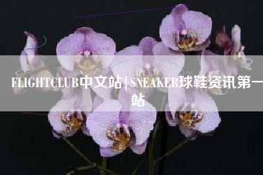 FLIGHTCLUB中文站|SNEAKER球鞋资讯第一站