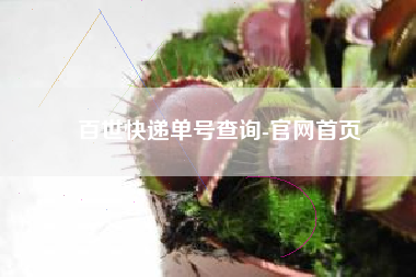 百世快递单号查询-官网首页