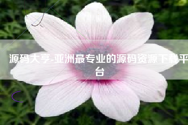 源码大亨-亚洲最专业的源码资源下载平台