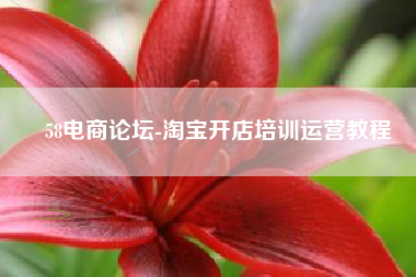 58电商论坛-淘宝开店培训运营教程