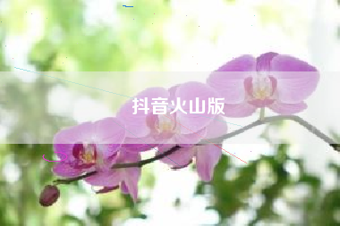 抖音火山版