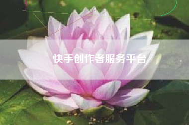 快手创作者服务平台