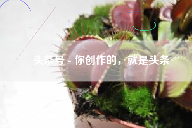头条号 - 你创作的，就是头条