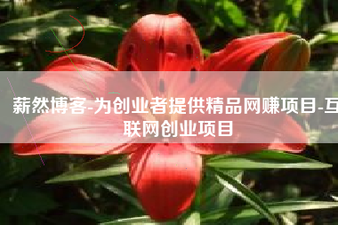 薪然博客-为创业者提供精品网赚项目-互联网创业项目