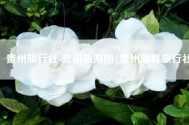 贵州旅行社-贵阳旅游团|贵州康辉旅行社