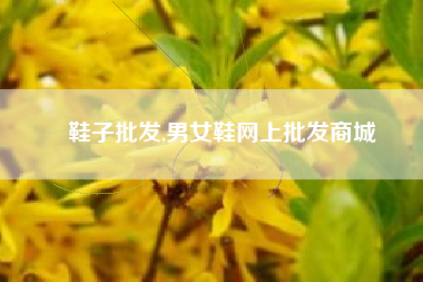 鞋子批发,男女鞋网上批发商城