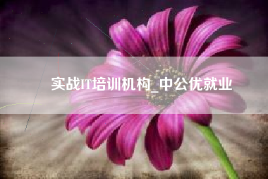 实战IT培训机构_中公优就业