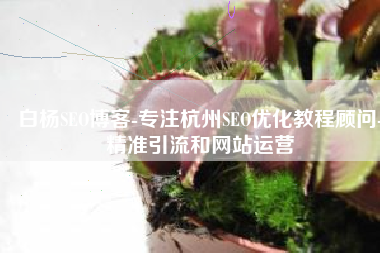 白杨SEO博客-专注杭州SEO优化教程顾问-精准引流和网站运营