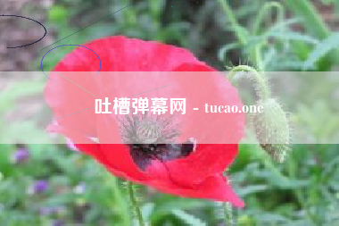 吐槽弹幕网 - tucao.one
