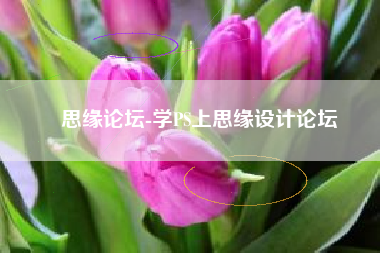  思缘论坛-学PS上思缘设计论坛