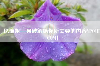 亿破姐 | 易破解给你所需要的内容YPOJIE.COM！