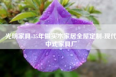 光明家具-35年做实木家居全屋定制-现代中式家具厂