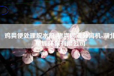 鸡粪便处理脱水机-猪粪固液分离机-湖北星辉环保有限公司