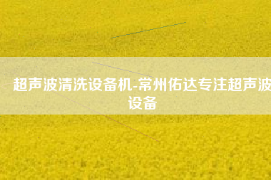 超声波清洗设备机-常州佑达专注超声波设备