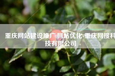 重庆网站建设推广,网站优化-重庆网搜科技有限公司