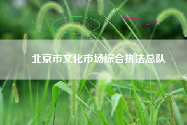 北京市文化市场综合执法总队