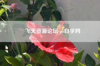 飞天资源论坛-ps自学网