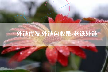 外链代发,外链包收录-老铁外链