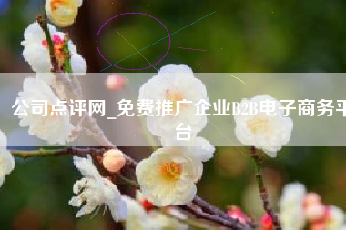 公司点评网_免费推广企业B2B电子商务平台