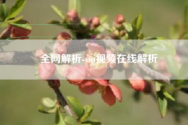 全网解析-vip视频在线解析