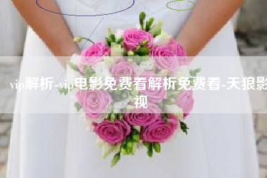 vip解析-vip电影免费看解析免费看-天狼影视