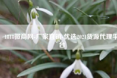 1818微商网-厂家直销-优选2021货源代理平台